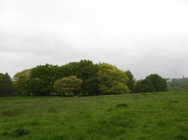 Parliament Hill