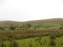 View up to Hollins Cross