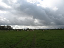 Hungerford Port Down