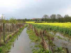 The flooded path