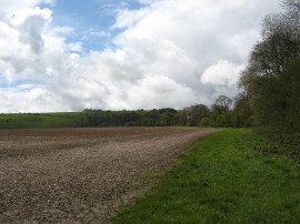 Heading up towards the downs