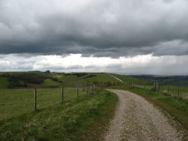 Path along the Downs