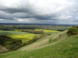 Berkshire Downs