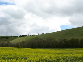 View back to the Downsl