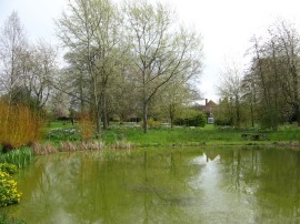 The large garden pond