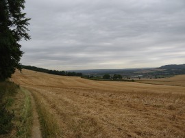 Path by Shoulder of Mutton Wood