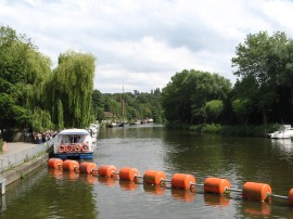 View upriver from Allington