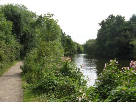 Path along the Medway