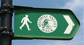 Walk Logo