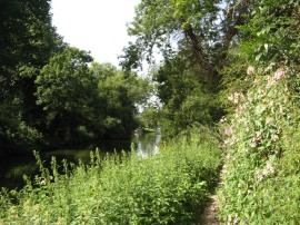 River Medway, Maidstone