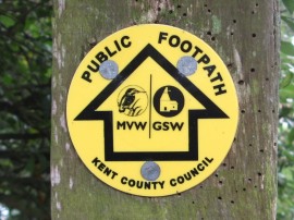 Walk way marker disc