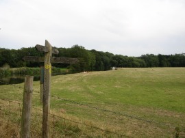 River nr Ford Green Bridge