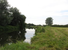 Path heading towards Tonbridge