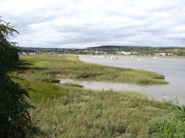  Salt Marsh besides the river