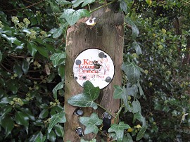 Walk Way Marker 3