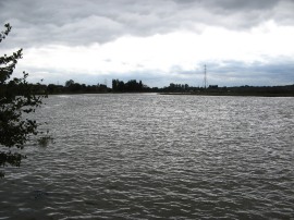 River Medway at Wouldham