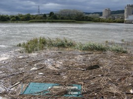 Debris floating on the river