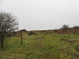 Path across Berry Down