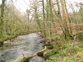 River Fowey