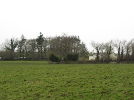 Field nr Treverbyn