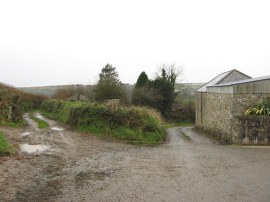 Farm track by Higher Newton farm