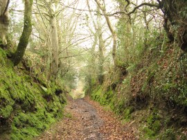 Back Lane, St Neot