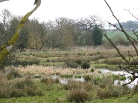 River Ver nr Redbourn