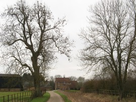 Path by Shafford Farm