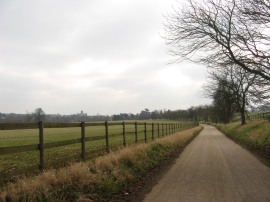 Path through the Gorhambury Estate