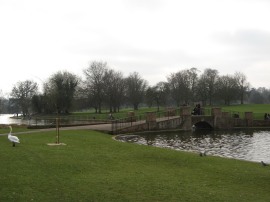 Lake, Verulamium Park