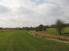 River Ver Meadows