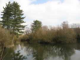 Old gravel pit nr Frogmore