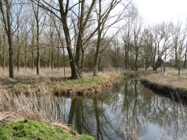 Confluence of the Rivers Ver and Colne