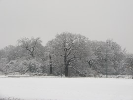 Whipps Cross