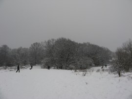 Epping Forest, nr the A406