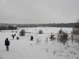 Chingford Plain