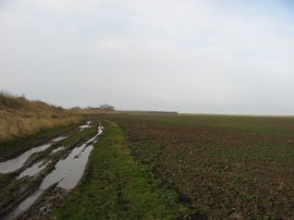 Path heading towards Ongar Hill