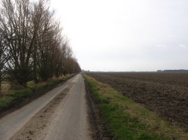 Road from Ongar Hill