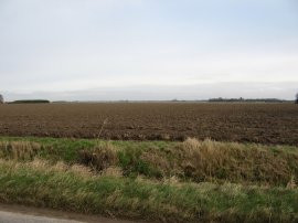 View across Rhoon Marsh