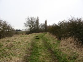 Track leading to Hall Lane
